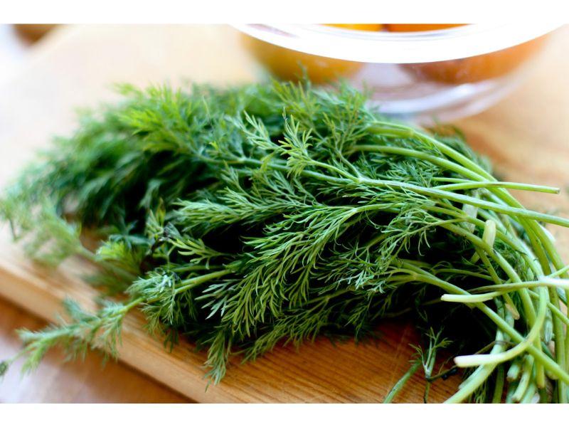 Sự tích cây Thì Là