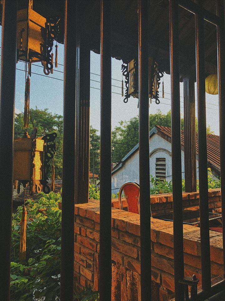 Trà Thất Bồ Đề Đạt Ma Kim Long