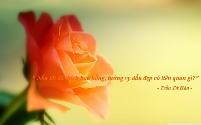 Trần Tử Hàn - Đừng nói với anh ấy là tôi vẫn còn yêu, Lục Xu
