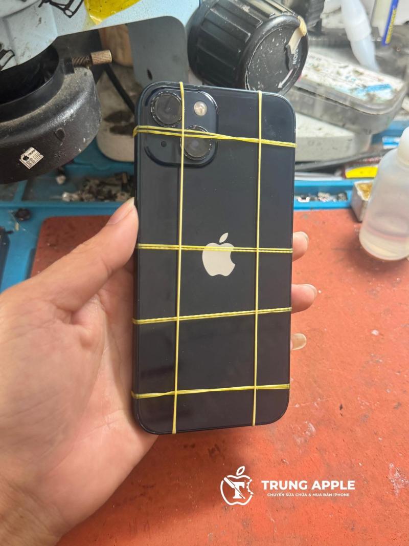 Trung Apple