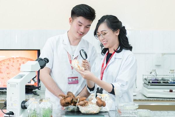 Trường Đại học Yersin Đà Lạt