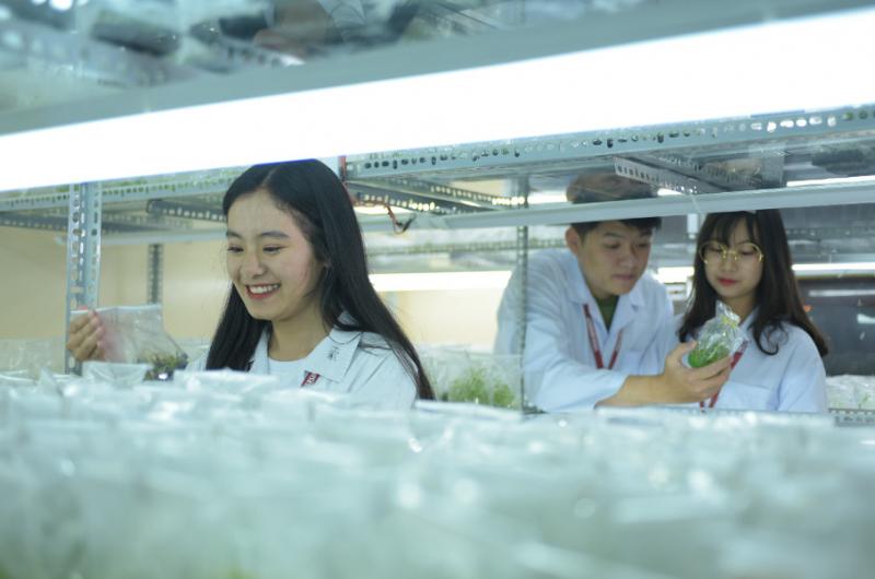 Trường Đại học Yersin Đà Lạt
