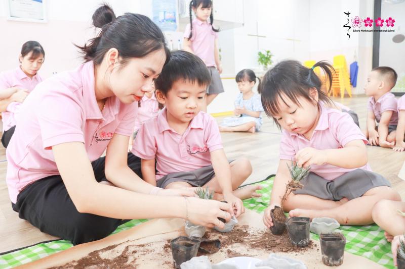 Trường mầm non Sakura Montessori