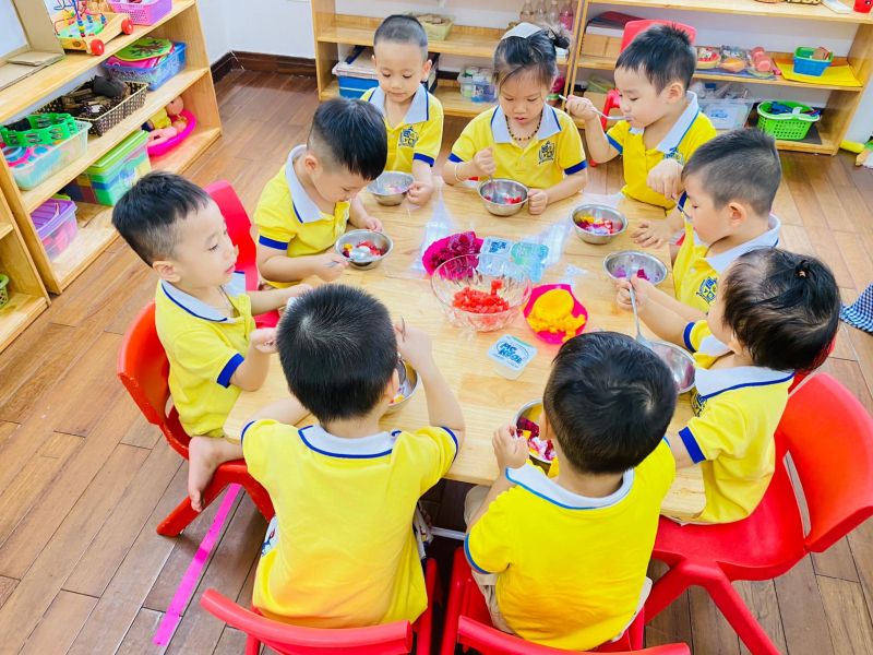 Trường mầm non Song ngữ Hoa Sen