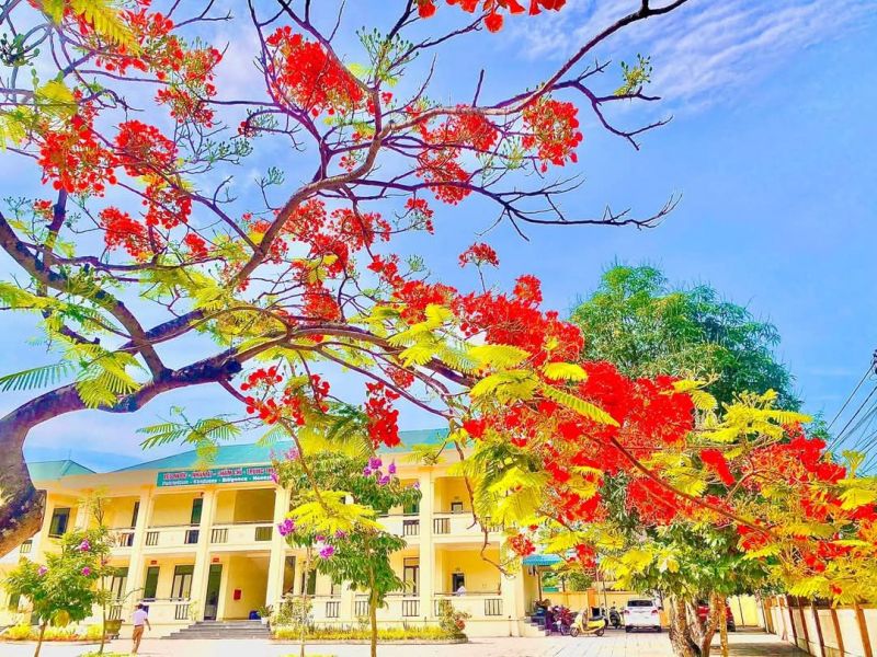 Trường THCS Quỳnh Trang