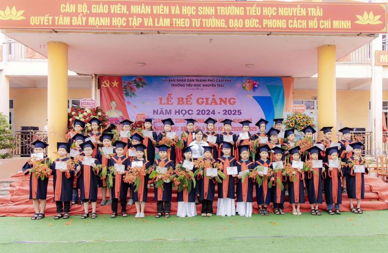 Trường tiểu học Nguyễn Trãi