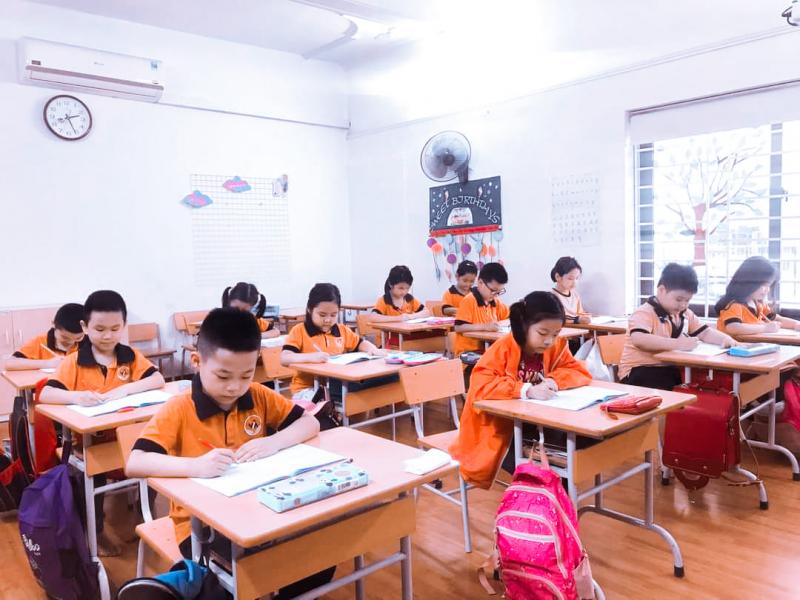 Trường Tiểu học và THCS Việt Anh