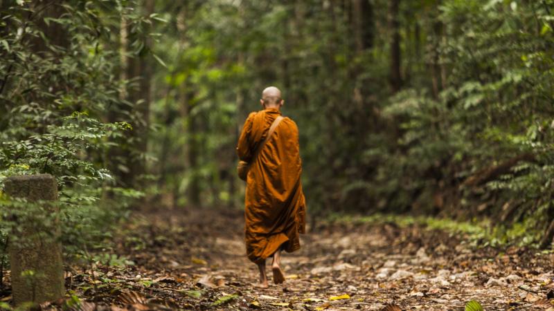 Phật giáo cho rằng, tu là một tiến trình thay đổi và chuyển hóa; có thể làm thay đổi điều chưa tốt thành tốt, chuyển hóa nỗi khổ niềm đau thành an vui hạnh phúc.