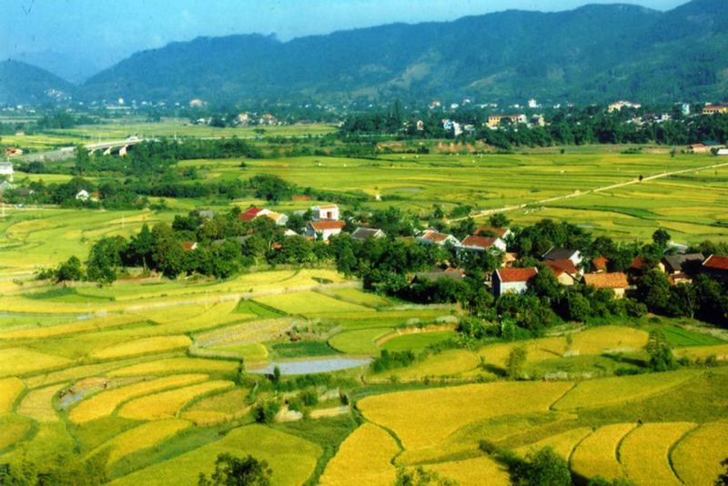 Về quê