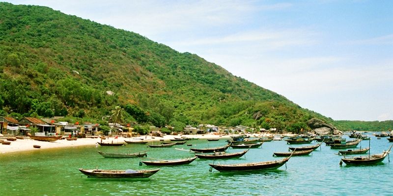 Bao quanh là cây, màu xanh ngắt tạo nên vẻ đẹp thiên nhiên thân thiện, gần gũi của Cù Lao Chàm