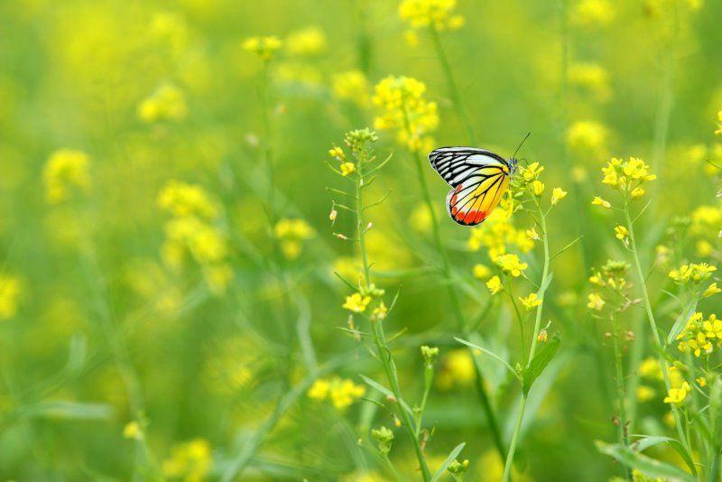 Viết cho tháng 12…