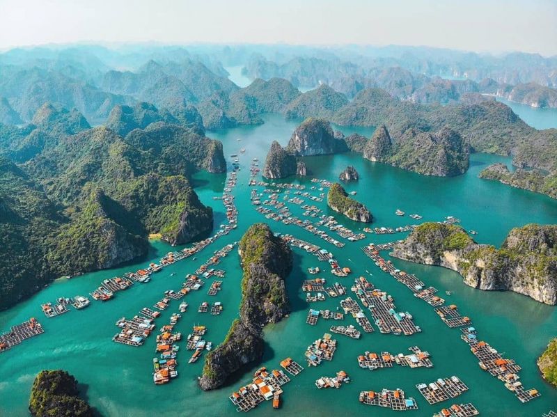 Quảng Ninh