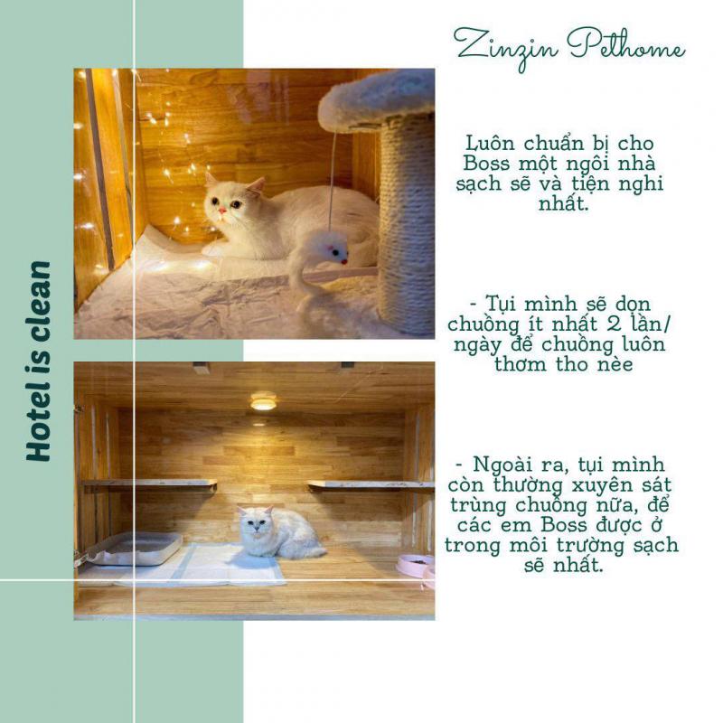 ZinZin Pethome